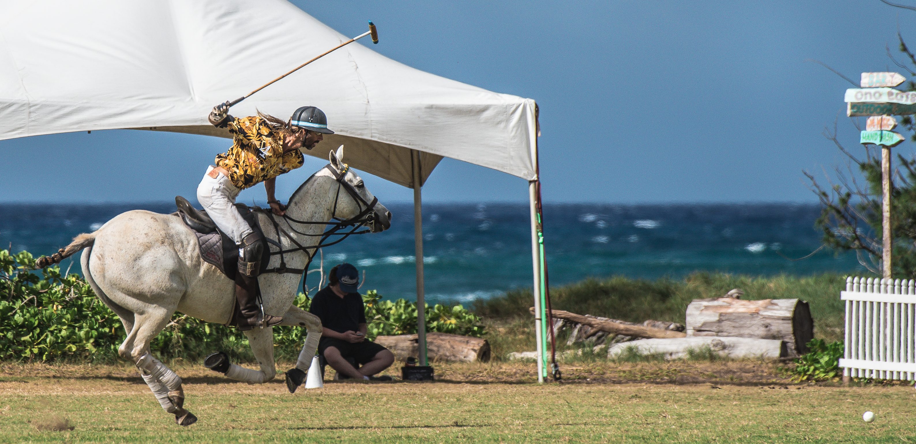 Hawaii Polo Club | Polo Club & Lessons in Waialua, HI