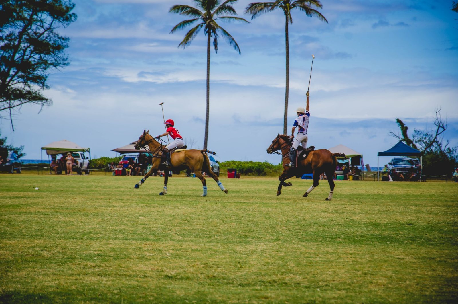 Playing polo in Mokuleia, Hawaii Playing polo in Mokuleia, Hawaii