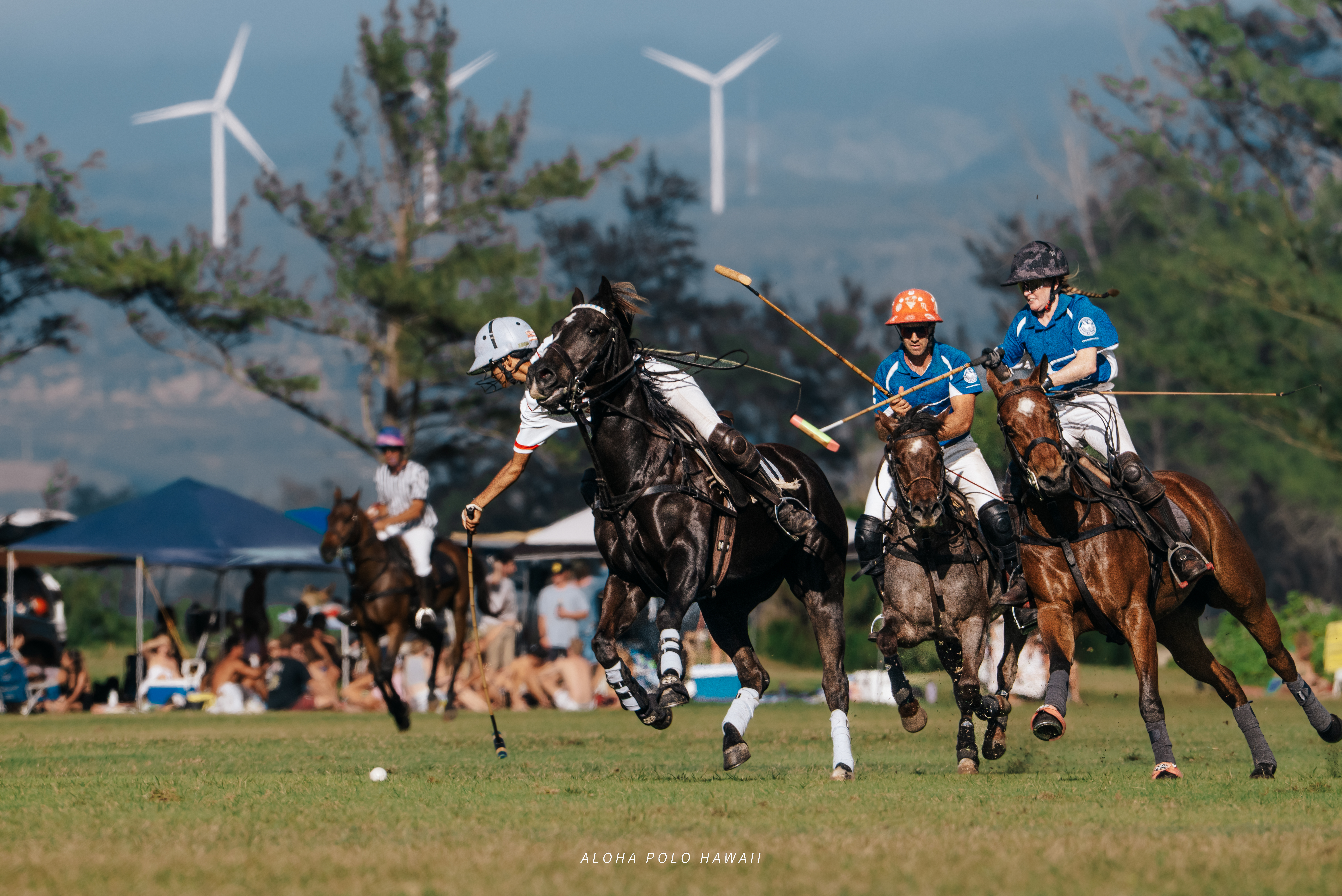 Sunday Polo at Hawaii Polo Club