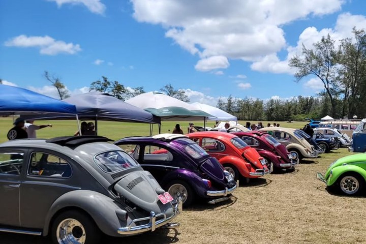 Line of vintage cars under tents at an outdoor event.