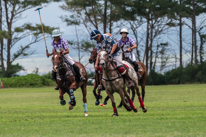 Three polo players on horses in action on a grassy field, set against a backdrop of trees.