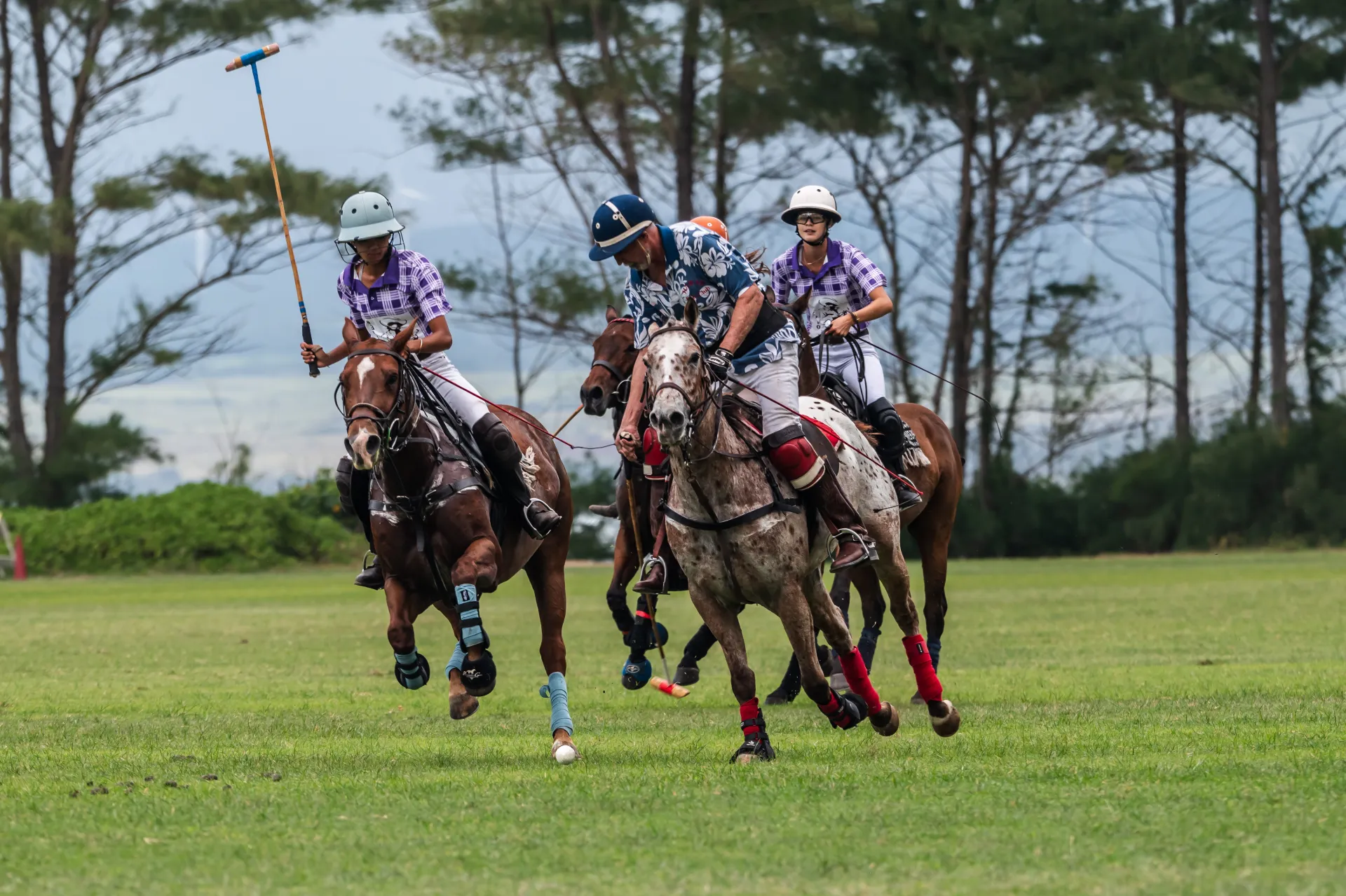 IMG_4787 Three polo players on horses in action on a grassy field, set against a backdrop of trees.