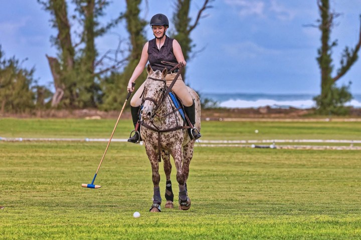 Woman playing polo on a speckled horse in a grassy field.