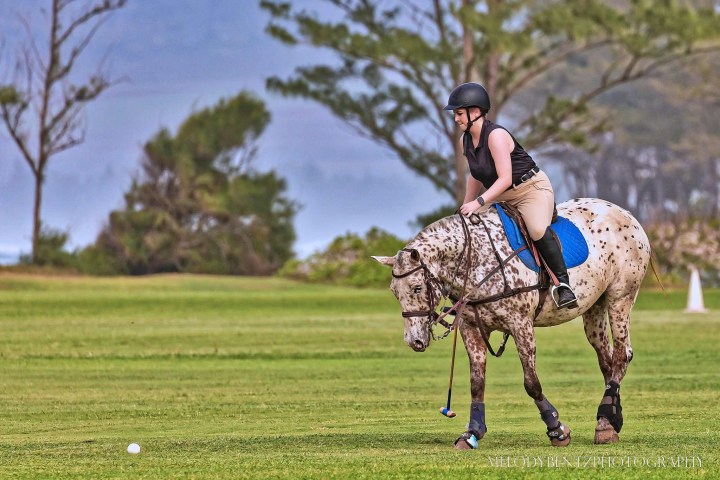 Person on a spotted horse playing polo on a grassy field.