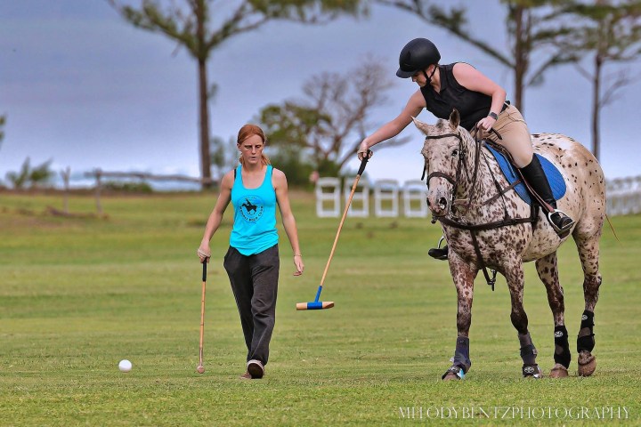 Two people playing polo, one on horseback, on a grassy field.