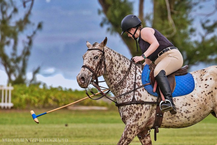 Person riding a speckled horse during a polo match, swinging a mallet on a grassy field.