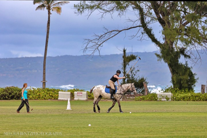 Person riding a horse on a grassy field with mountains in the background.