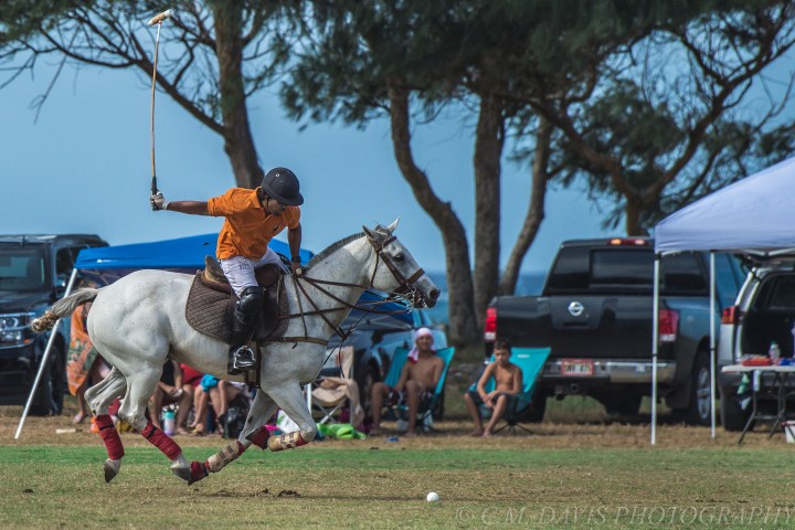 Polo player on a white horse in action on a grassy field, watched by seated spectators.
