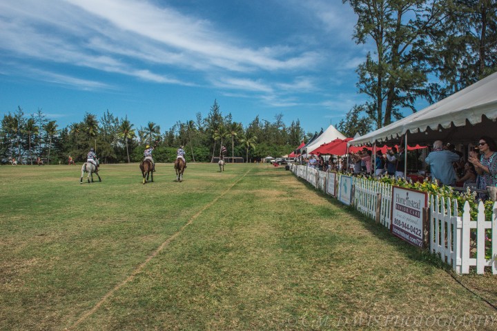 Polo match with horses, players, and spectators under tents on a sunny day.