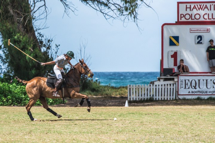 Polo player riding a horse on a grassy field near a scoreboard.
