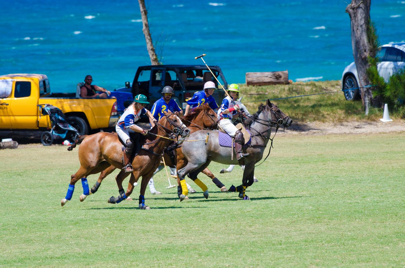 Polo ponies at full gallop beside the turquoise ocean